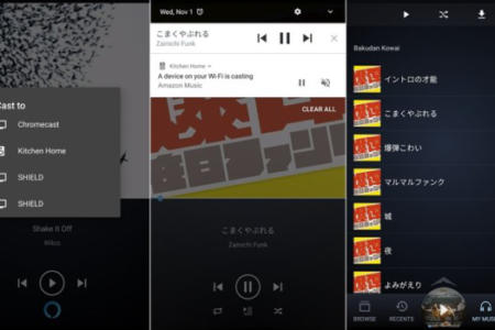 Amazon Music on Chromecast