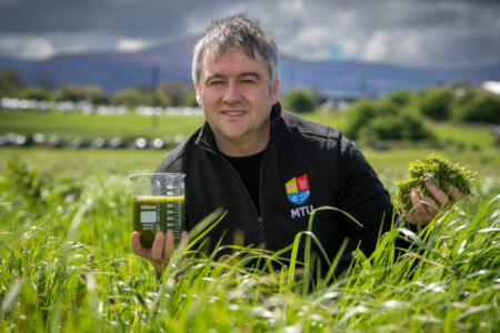 James Gaffey, Munster Technological University